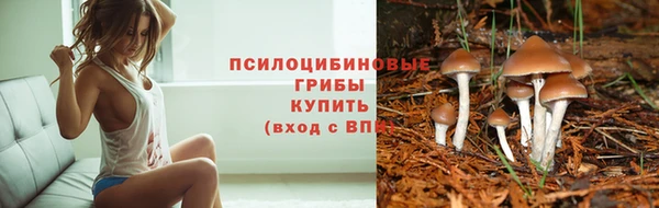 ALPHA-PVP Арсеньев