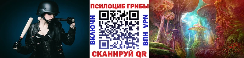 Галлюциногенные грибы Cubensis цены наркотик Мичуринск