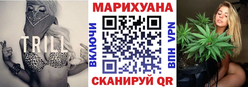 OMG зеркало  Мичуринск  Конопля сатива 